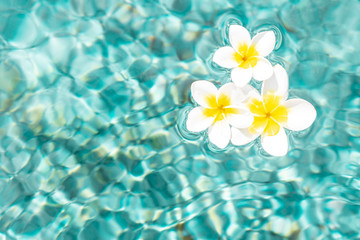 Flowers of plumeria in the turquoise water surface. Water fluctuations copy-space. Spa concept background
