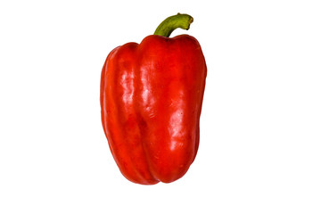 Red bulgarian pepper isolated on a white background