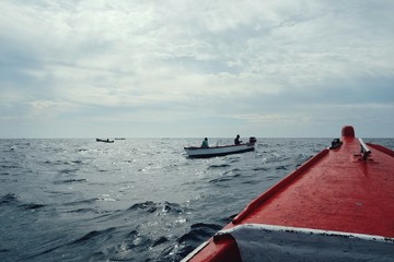 local fisherman in a big group hunting for yellow fin tuna or other game fish in traditional boats...