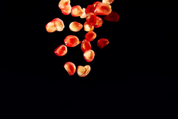 Pomegranate seed on black background