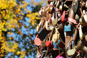 Wedding castles on the iron tree of love