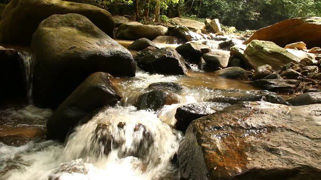 Stream in the rain forest, chiangmai Thailand