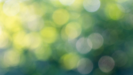 Blurred green foliage with sunlight. Natural background with yellow bokeh circles.
