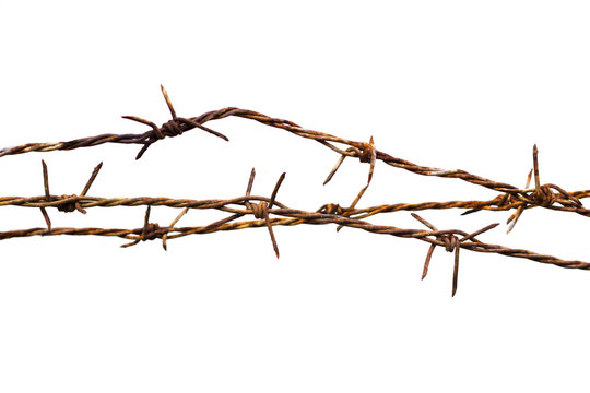 Rusty barbed wire isolated on white