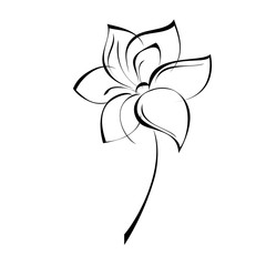 stylized flower in black lines on a white background