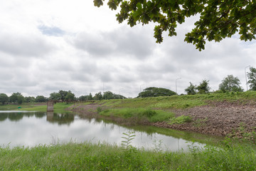 wild river and green grass in summer cloudy landscape.