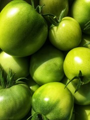Green tomatoes texture