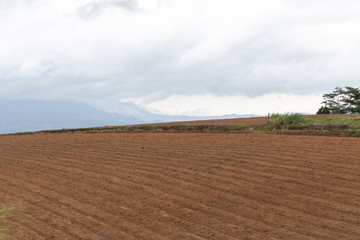 Empty farm field soil ground landscape on mountain.