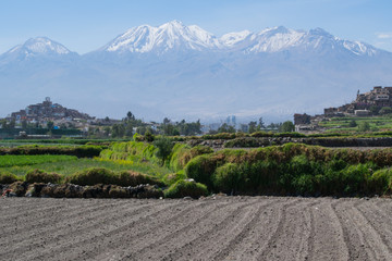Paisaje agr&iacute;cola con el fondo del  volc&aacute;n Chachani