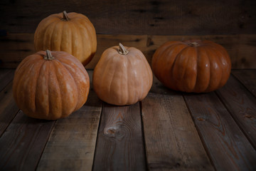 Thanksgiving. Pumpkins on rustic wooden background, copy space