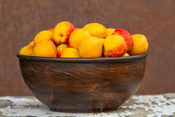 Fresh apricots on a metal plate on rusty metal background. Closeup, selective focus