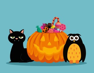 halloween card with pumpkin and owl