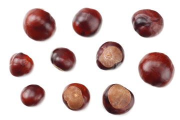 chestnuts isolated on white background. top view