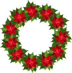 Christmas poinsettia. Vector wreath