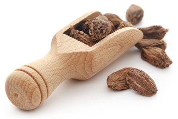 Black cardamom