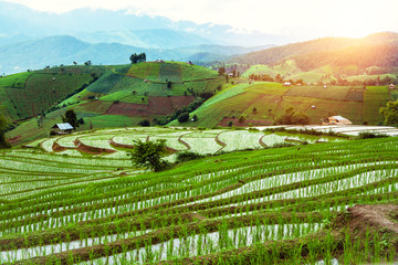 Travel Rainy Season landscape of Rice Terraces at Ban Papongpieng Chiangmai Thailand