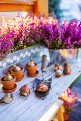 Bulbs of flowers ready for autumn planting.
