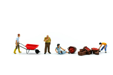 Miniature people : worker with market apple using for concept of Apple Day.