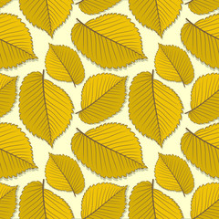 Seamless pattern with elm autumn leaves. Vector illustration.