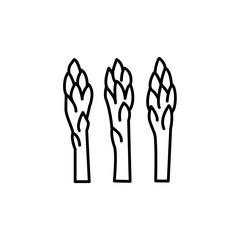 Black & white vector illustration of shoots of garden asparagus. Line icon of fresh organic sparrow grass. Vegan & vegetarian food. Health eating ingredient. Isolated on white background.