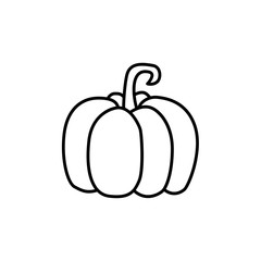 Pumpkin. Winter squash. Line vector icon. Isolated object