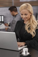 Businesswoman working on laptop computer