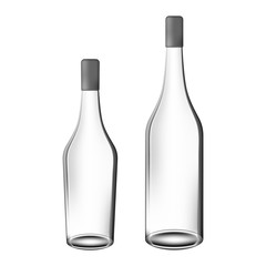 Vector glass alcohol bottle set with shadow