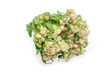Head of the cauliflower on a white background