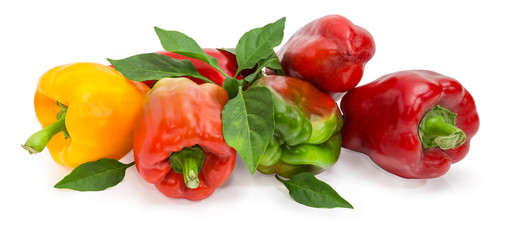 Varicolored bell peppers and twig with leaves on white background