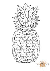 Hand-drawn illustration of Pineapple, vector