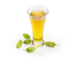 Glass of lager beer among of the hop cones