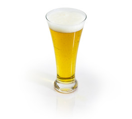 Glass of lager beer on a white background