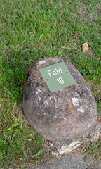 Feldstein Feld 18