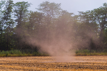 Small tornado or whirlwind with dust in a field