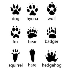 Various traces of wild animals design icon