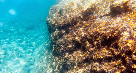 Underwater sea background with rocks, ocean landscape