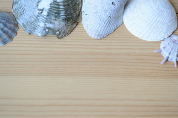 Wooden background with sea shells close up