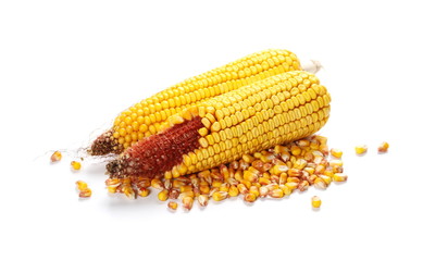 Cob of corn isolated on white background