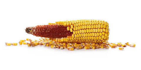 Cob of corn isolated on white background