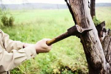 Strong woodcutter chopping down tree, lumberjack cutting tree with axe, metal axe close-up in forest, horror concept