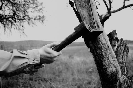 Strong Woodcutter Chopping Down Tree, Lumberjack Cutting Tree With Axe, Metal Axe Close-up In Forest, Horror Concept