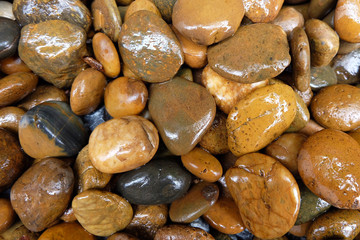 modern style close up wet round stone background wallpaper