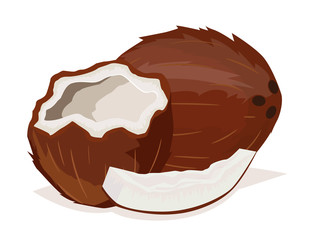 Coconut cartoon isolated