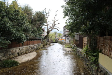 京都　白川