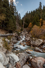 Mountain river. Bright yellow and red autumn in the mountains. Kavkaz. Dombay.