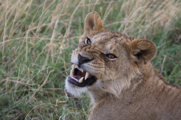 What are you looking at?