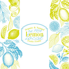 Vintage citrus background. Lemon tree design template. Hand drawn vector fruit illustration. Engraved style menu cover.