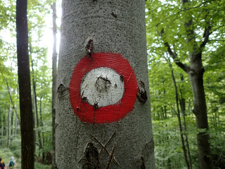hiking sign on the tree