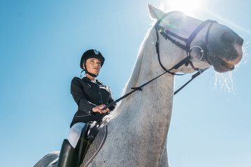 low angle view of attractive female equestrian riding horse against blue sky