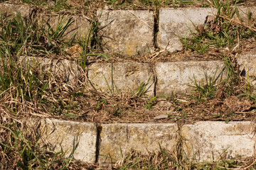 The steps of the old, destroyed stone staircase were overgrown with last year's grass.